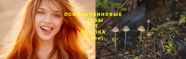 MDMA Premium VHQ Богородицк