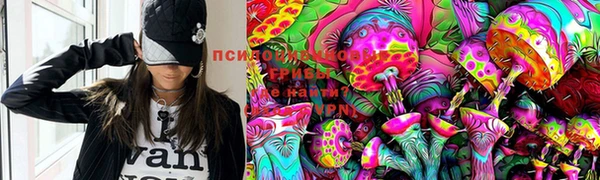 тгк Богданович