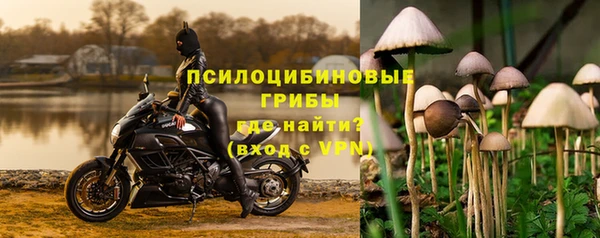тгк Богданович