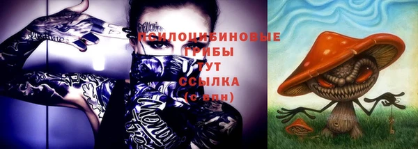 тгк Богданович